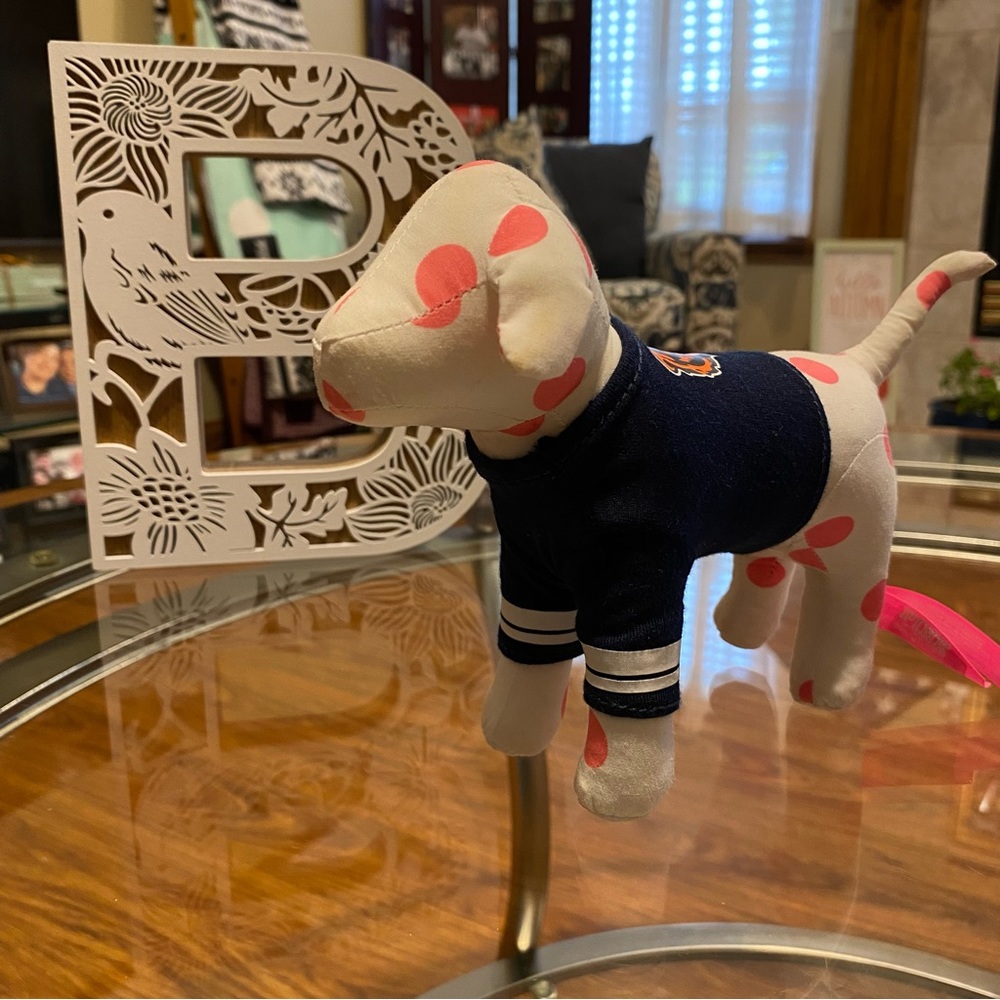 VS Pink mini dog